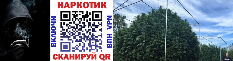 Купить Кокаин  Alpha PVP  Меф мяу мяу  Козловка