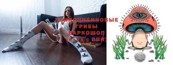 эйфоретик Гусев