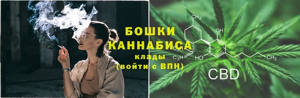 прущая мука Гусиноозёрск