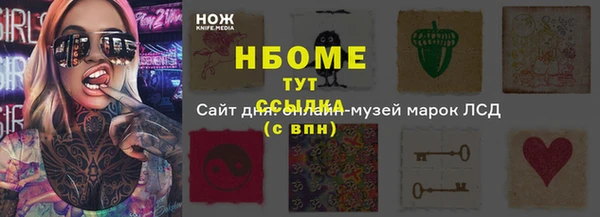 индика Дмитриев