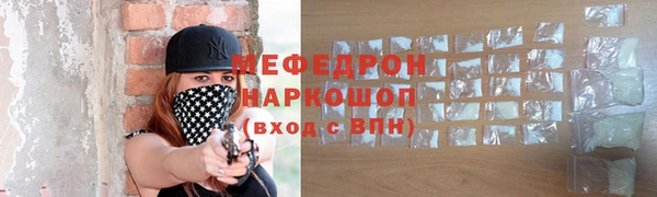 индика Дмитриев