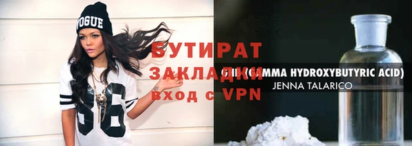 индика Дмитриев