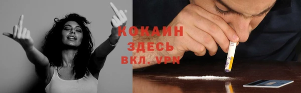 трава Пересвет