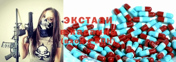 индика Дмитриев