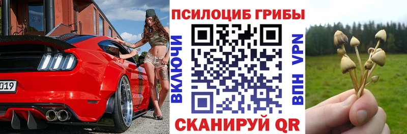 Купить где  Козловка  Псилоцибиновые грибы прущие грибы 